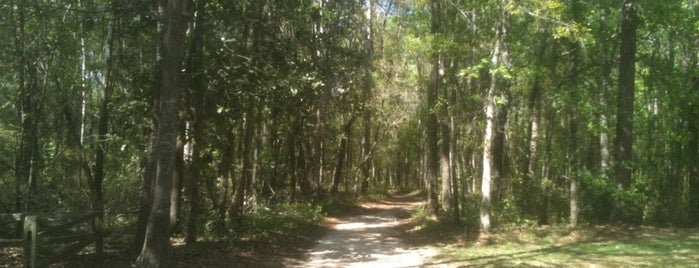 Lake Overstreet Multi Use Trails Meridian Entrance is one of Get out and enjoy the fresh air in Tallahassee.