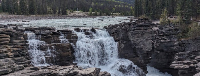 Athabasca Falls is one of Alberta, Canada.