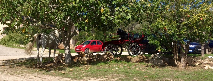 Hortella d'en Cotanet is one of Food & Drink.