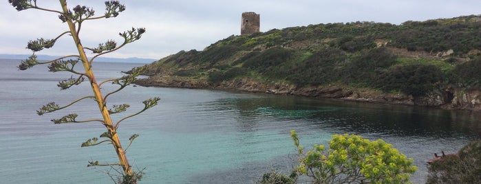 Spiaggia di Cala d'Oliva is one of Tempat yang Disukai Matteo.