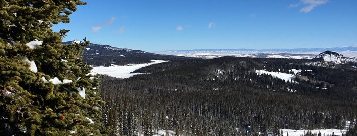 Routt National Forest is one of Steamboat.