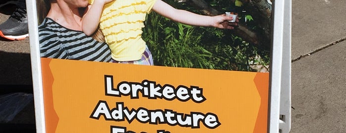 Lorikeet Adventure is one of fun.