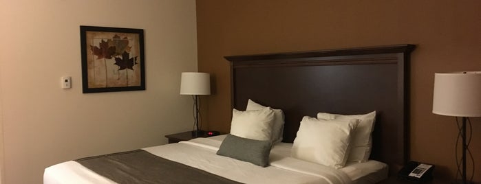 Best Western Plus Lincoln Inn & Suites is one of Posti che sono piaciuti a Debbie.