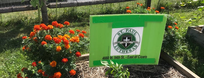 Oak Lawn Community Garden is one of สถานที่ที่ Debbie ถูกใจ.
