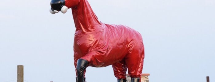 Cold War Horse is one of Locais salvos de Debbie.