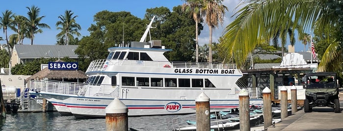 Fury Glassbottom Boat is one of Attractions.