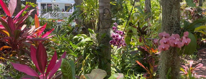 Audubon House And Gardens is one of Miami keys.