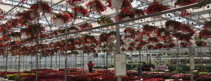 Woldhuis Farms & Sunrise Greenhouses is one of Tempat yang Disukai Debbie.