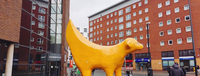 Superlambanana is one of Summer 2016.