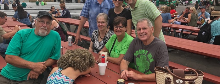 Milwaukee Irish Fest is one of LAXgirl'in Beğendiği Mekanlar.