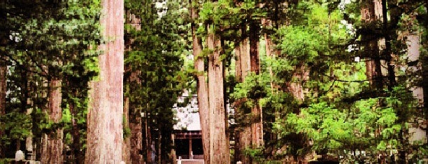 Koyasan is one of 高野山山上伽藍.