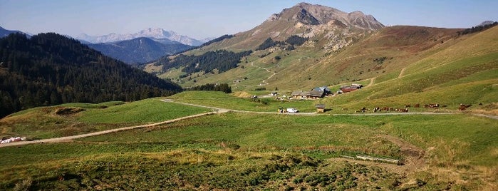 Col Des Annes is one of visite decouverte.