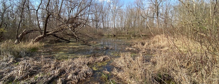 Geist Park is one of Parks for kids.