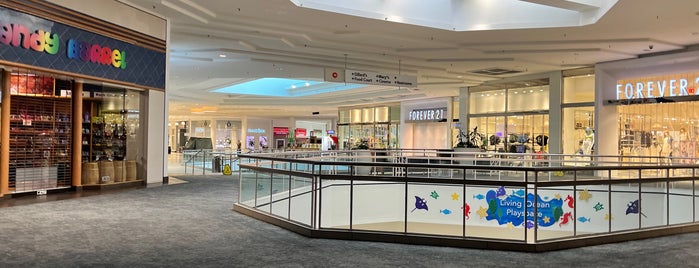 Countryside Mall is one of Top 10 favorites places in Clearwater, FL.