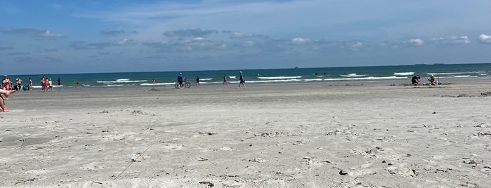 Jetty Park Beach is one of Space Coast Bird & Wildlife Festival.