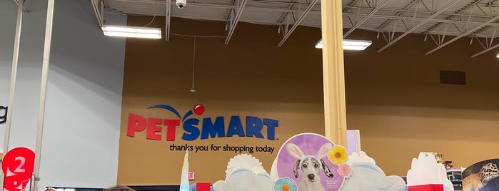 PetSmart is one of Entertainment.