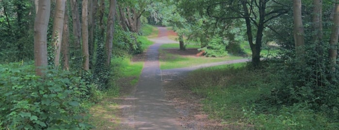 Dean Park is one of All-time favorites in United Kingdom.