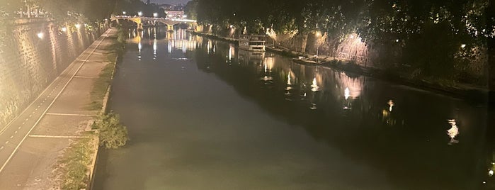 Trastevere is one of Roma.