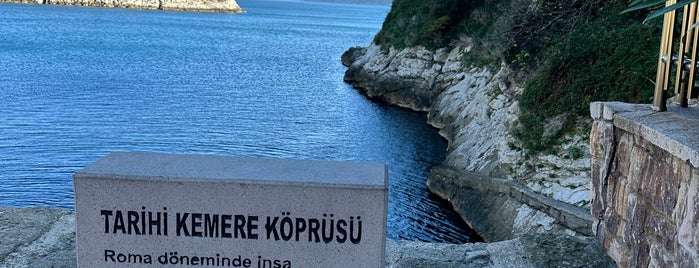 Kemere Köprüsü is one of Batı Karadeniz.