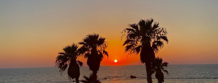 Bat Yam Promenade (Tayelet Bat Yam) is one of Tel Aviv.