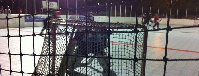 North Ave Hockey Rink is one of What I REALLY Need to Do.