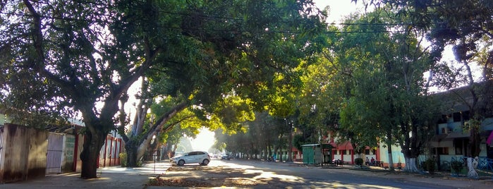 Av. Procópio Rola is one of Macapá.