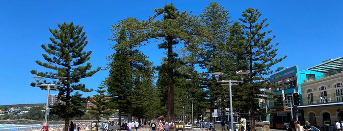 Manly Beach is one of Katherineさんのお気に入りスポット.