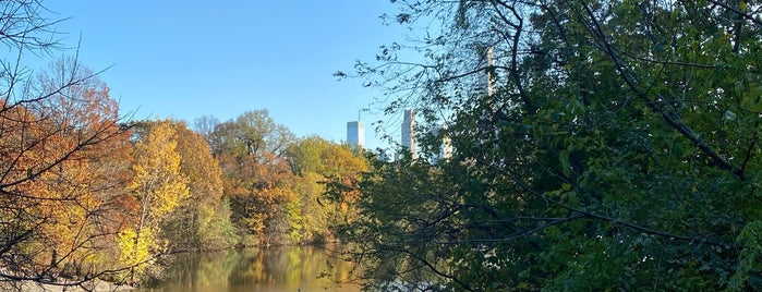 Balcony Bridge Central Park is one of Central Park.