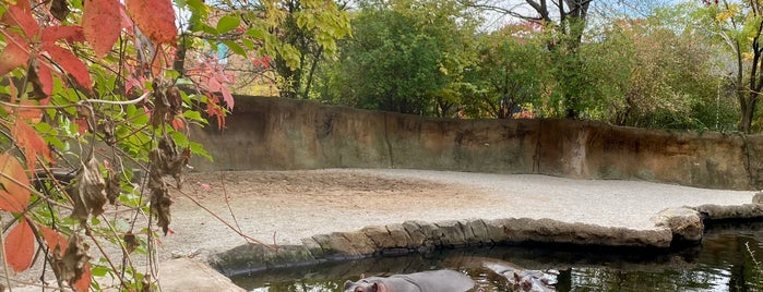 River's Edge is one of St. Louis Zoo Tour.