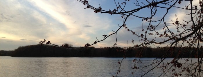 Fresh Pond Reservation is one of The 15 Best Quiet Places in Cambridge.