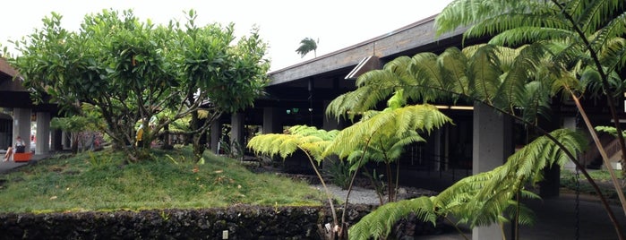 Hilo International Airport (ITO) is one of Airports Visited by Code.
