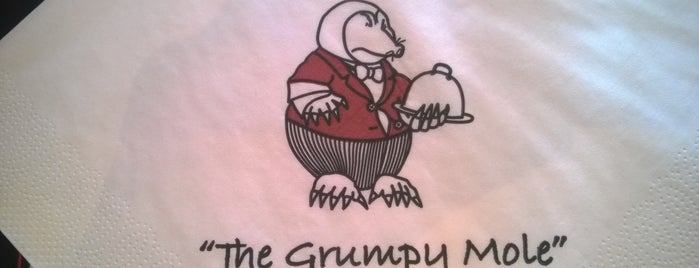 The Grumpy Mole is one of สถานที่ที่ Stuart ถูกใจ.