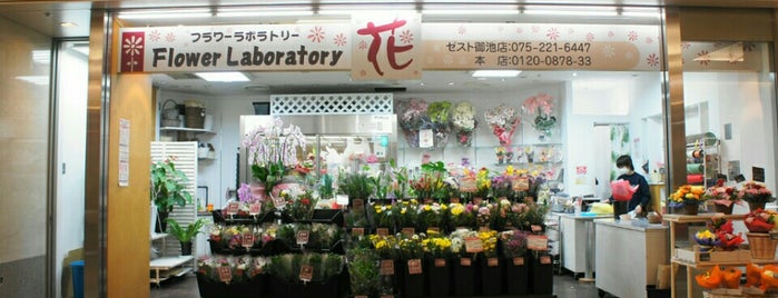 花屋 Flower Shop
