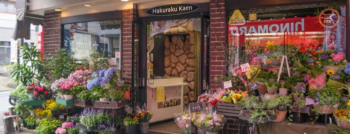 花屋 Flower Shop