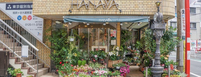 花屋 Flower Shop
