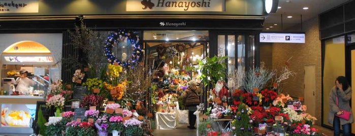 花屋 Flower Shop