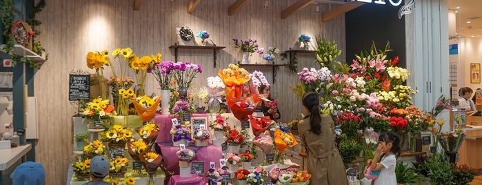 花屋 Flower Shop
