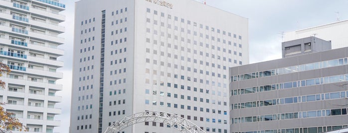 国家行政 立法 司法機関