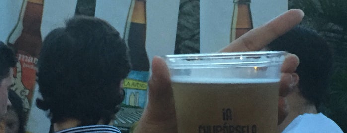Local Craft Beer is one of Monterrey salidas.