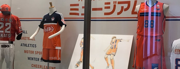 All Albirex Museum is one of アルビレックス新潟 - Albirex Niigata.