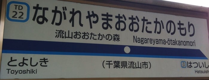 Tobu Nagareyama-otakanomori Station (TD22) is one of The stations I visited.