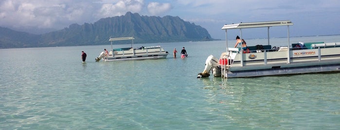 Day on the Bay is one of Oahu.