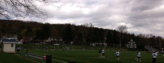 Lycoming Rec is one of Lycoming College Venues.