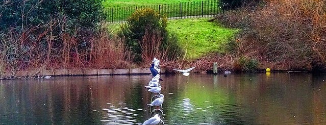 Hyde Park is one of Things to Do in West London with Kids.