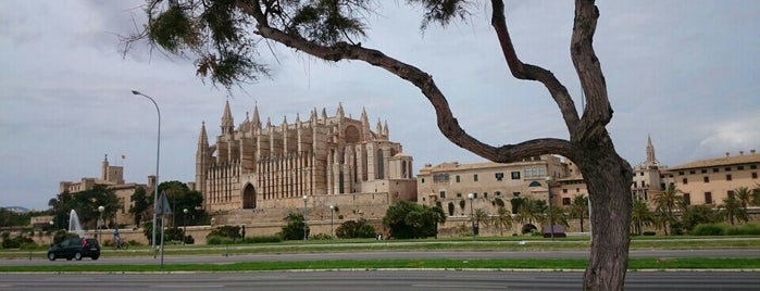 La Seu / Catedral de Mallorca is one of สถานที่ที่ Anna ถูกใจ.