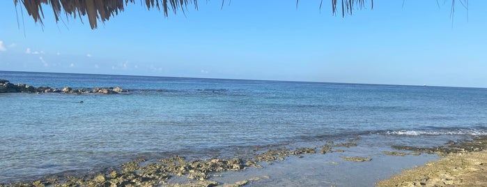 Playa Parasasa is one of Caribbean.