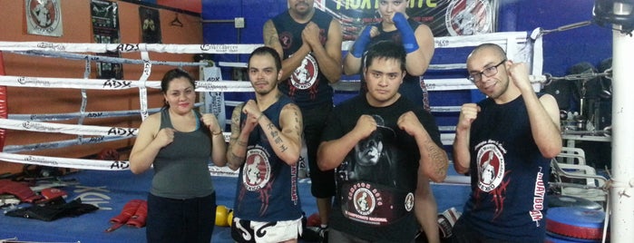 Thai Boxing Camps Muay Elite is one of Work.