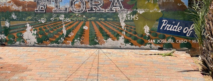 Flora Farms is one of Cabo.