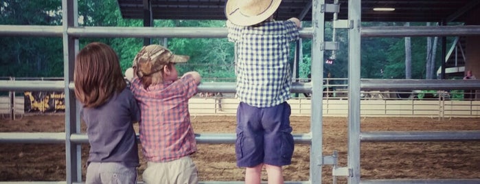 Wills Park Equestrian Center is one of Lugares favoritos de Michael.