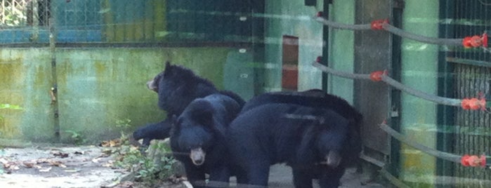Bear Rescue Centre is one of Reise 2.